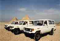 Safari Packages