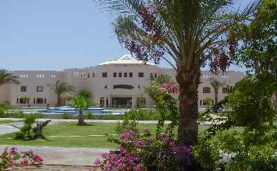 Dolphin Beach Resort