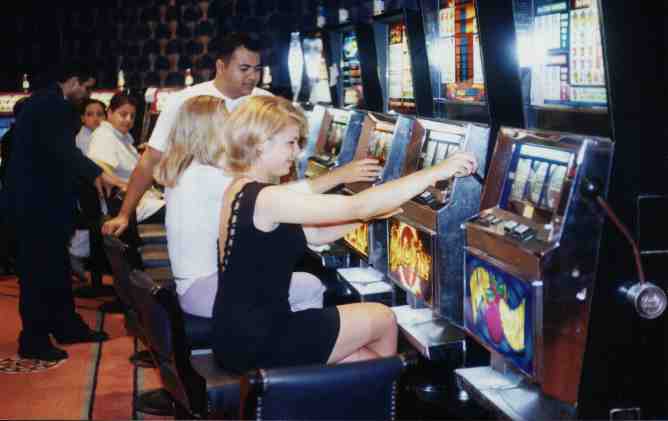 Dolphin Casino